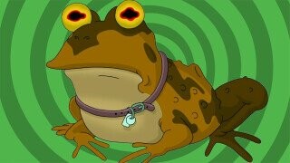 Hypnotoad From ‘Futurama’ Has Officially Overtaken the National Park Service