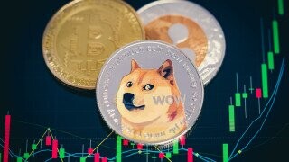 Dogecoin's Co-Founder Says Crypto Is Like A Pyramid Scheme