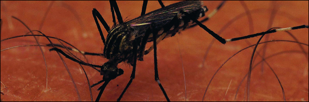 7 Bizarre Trends That Predict an Economic Collapse