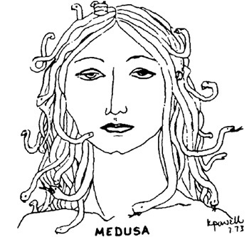 poweul MEDUSA 1.73