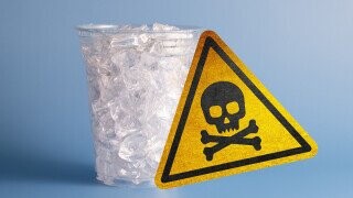 5 Foods With the Underrated Power to Poison You