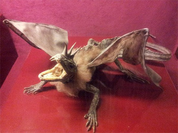 5 Real Museums Scarier Than Any Haunted House