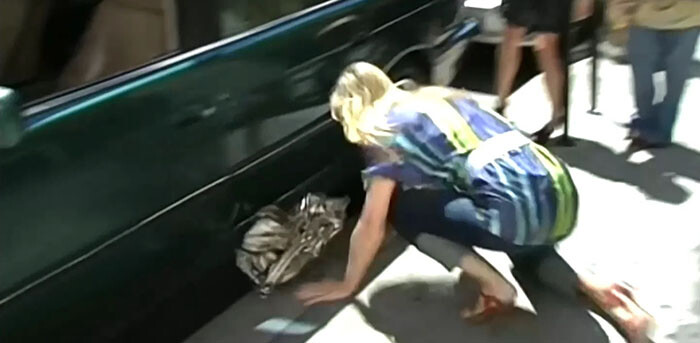 1. Kaitlin Olson really rammed her head into that car door. 