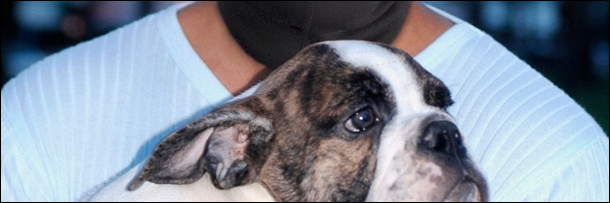 7 Bizarre Trends That Predict an Economic Collapse