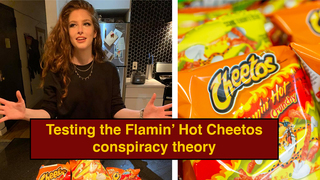 Do All Flamin' Hot Cheetos Taste Different? An Investigation