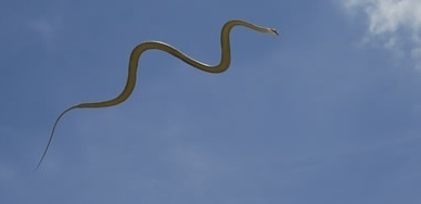 How To Reinvent Yourself During Your First Week at College