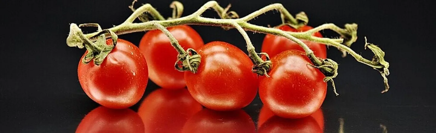 A Trip Through The Tomato's Dark Ages (And On To Our Plates)