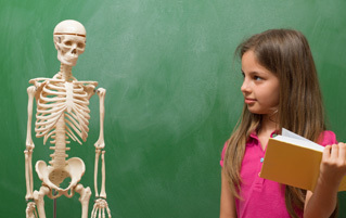 6 Lies About the Body You Learned in Kindergarten: Classic