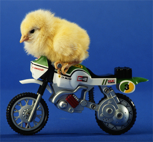 4 Ways Gamers Still Suck at Dealing With Women