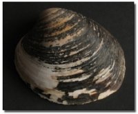 6 Insane Laws We'll Need in the Future