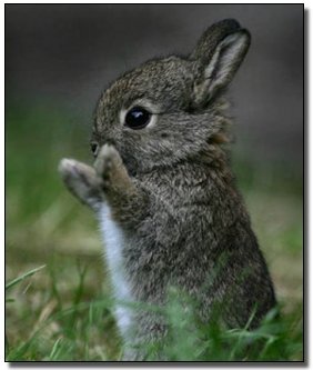 The 6 Most Horrific Lessons Ever Taught in Elementary School