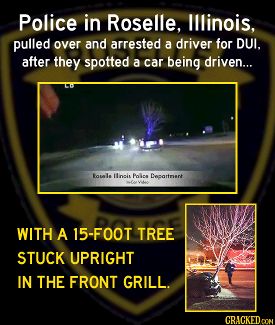 The 16 Most Insane Things Happening Right Now (3/15)