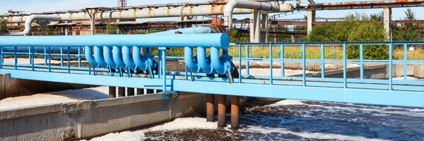 Two Year Faked Coma: 6 People That Worked Hard At Being Lazy