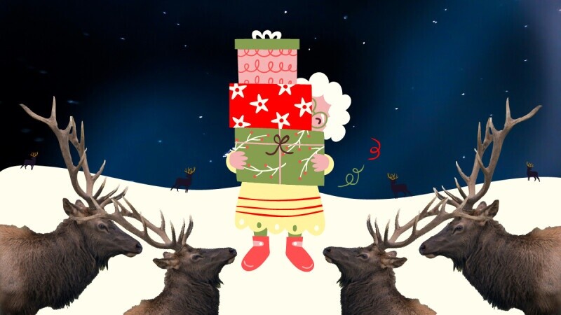 How Many Reindeer Would Have To Run Over Grandma To Off Her?