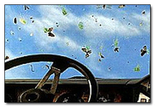 The 5 Strangest Things Evolution Left In Your Body