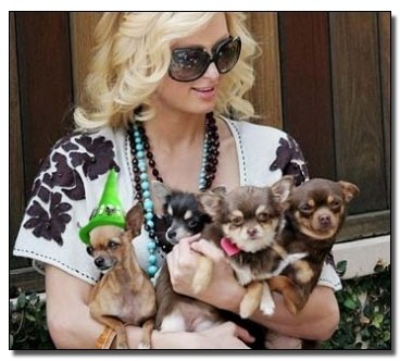 7 Vampires Around the World Worse Than The Ones In Twilight