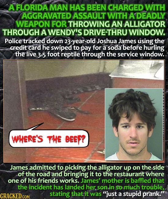 A FLORIDA MAN HAS BEEN CHARGED WITH AGGRAVATED ASSAULT WITH ADEADLY WEAPON FOR THROWING AN ALLIGATOR THROUGH A WENDY'S DRIVE-THRU WINDOW. Police track