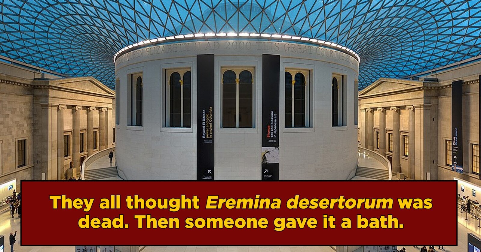 A British Museum Exhibit From Egypt, Seemingly Dead, Suddenly Woke Up