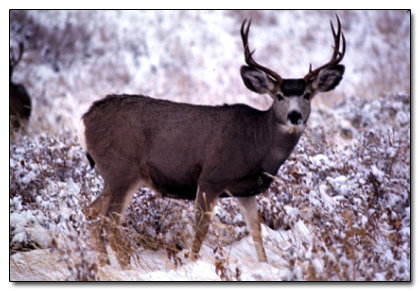 The 5 Strangest Things Evolution Left In Your Body