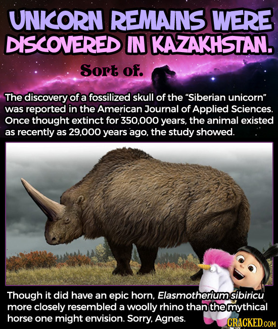 UNKORN REMAINS WERE DISCOVERED IN KAZAKHSTAN. Sort of. The discovery of a fossilized skull of the Siberian unicorn was reported in the American Jour