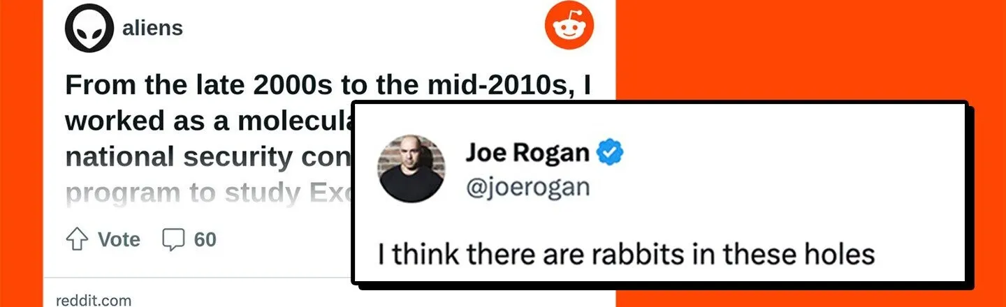 ‘There Are Rabbits in These Holes’: Joe Rogan Is Back With Classic Alien Conspiracy Tweets