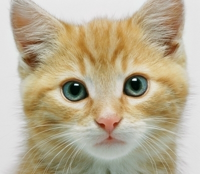 The 6 Types Of Profile Pics And What They Mean Cracked Com The 6 Types Of Profile Pics And What They Mean Cracked Com