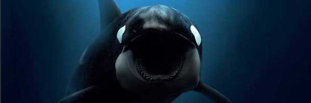 Caught People Who Couldn't Stop Digging Themselves Deeper