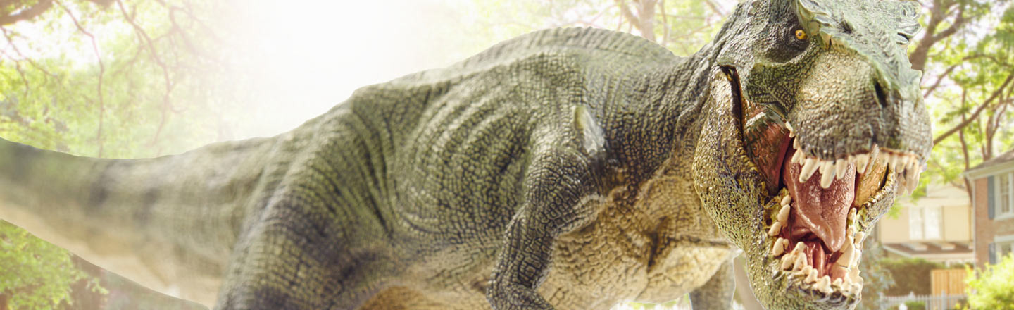 8 Things That Would Inevitably Happen If I Had A Dinosaur