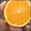 CRACKED ROUND-UP: Snowed In Edition