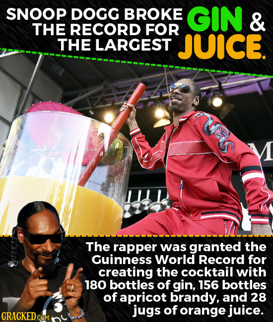 SNOOP DOGG BROKE GIN & THE RECORD FOR THE LARGEST JUICE. The rapper was granted the Guinness World Record for creating the cocktail with 180 bottles o