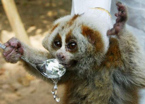 6 Stupid Things Pet Owners Need to Stop Doing Now