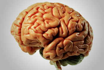 5 Mind-Blowing Ways Your Senses Lie to You Every Day