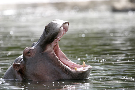 5 Crucial Rules of Every Game (Not Found in the Rulebook)