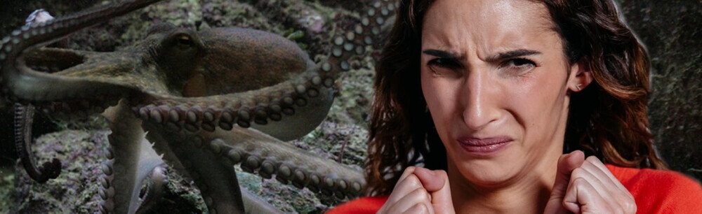 New Disgusting Pre-Dinosaur Octopus Just Dropped