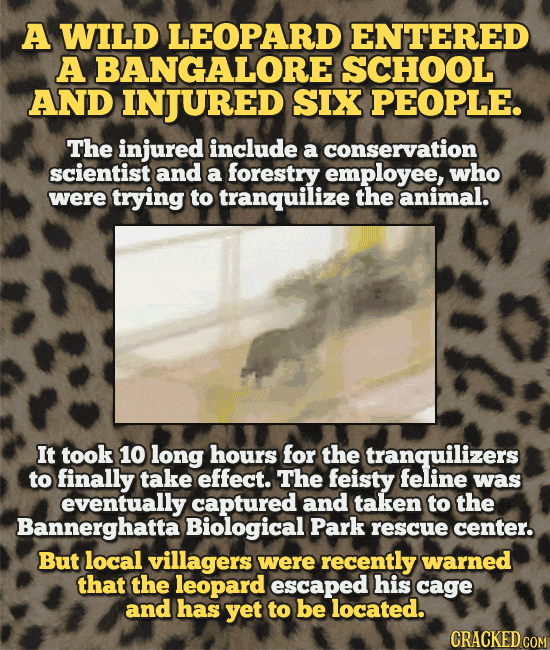 The 14 Most Insane Things Happening Right Now (2/16)