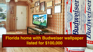 House Covered Entirely With Budweiser Cans On Sale For $100,000