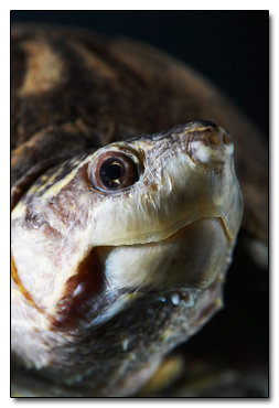 6 Horrifying Ways to Improve Your Sex Life