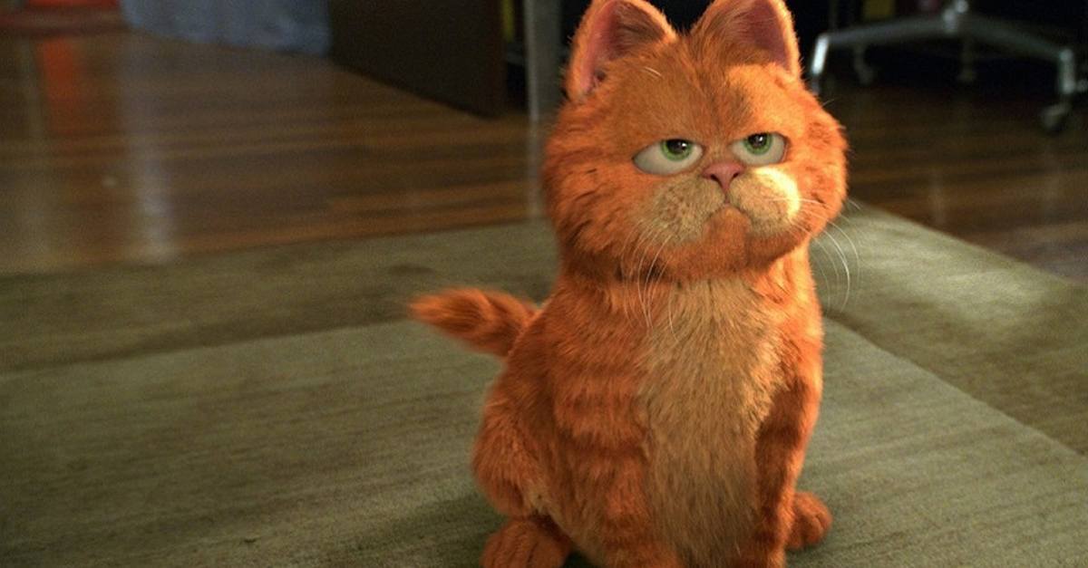 7 Things The Garfield Movie Got Completely Wrong Cracked Com