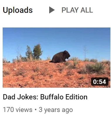 Uploads PLAY ALL 0:54 Dad Jokes: Buffalo Edition 170 views 3 years ago