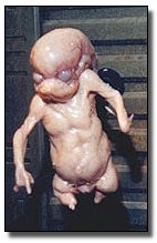 5 Irrational Fears (Even Rational People Have)