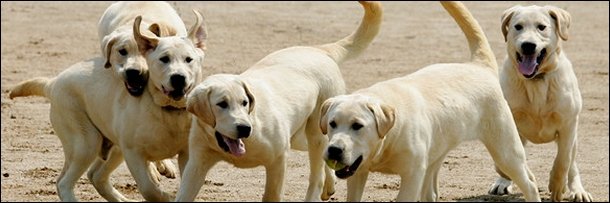 5 Irrational Fears (Even Rational People Have)