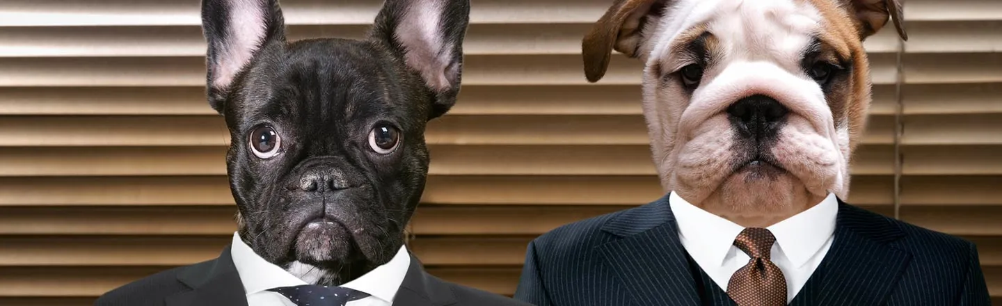 Judge Rules That Asking For A 'Lawyer Dog' Is Too Confusing