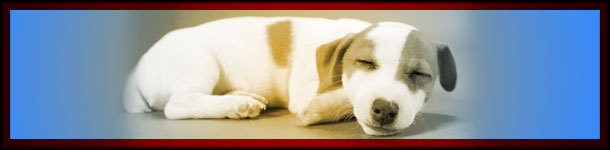 8 Tiny Things That Stopped Suicides