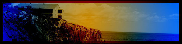 8 Tiny Things That Stopped Suicides