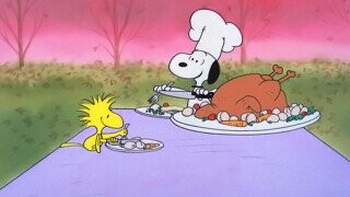 10 Bonkers Behind-The-Scenes Facts About 'A Charlie Brown Thanksgiving'