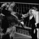 Cracked Round-Up: Day Trading Edition