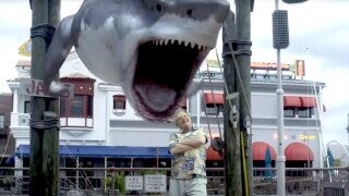 In the Interest of Poor Taste, Here Are 8 of the Funniest Shark Attacks in Movie History