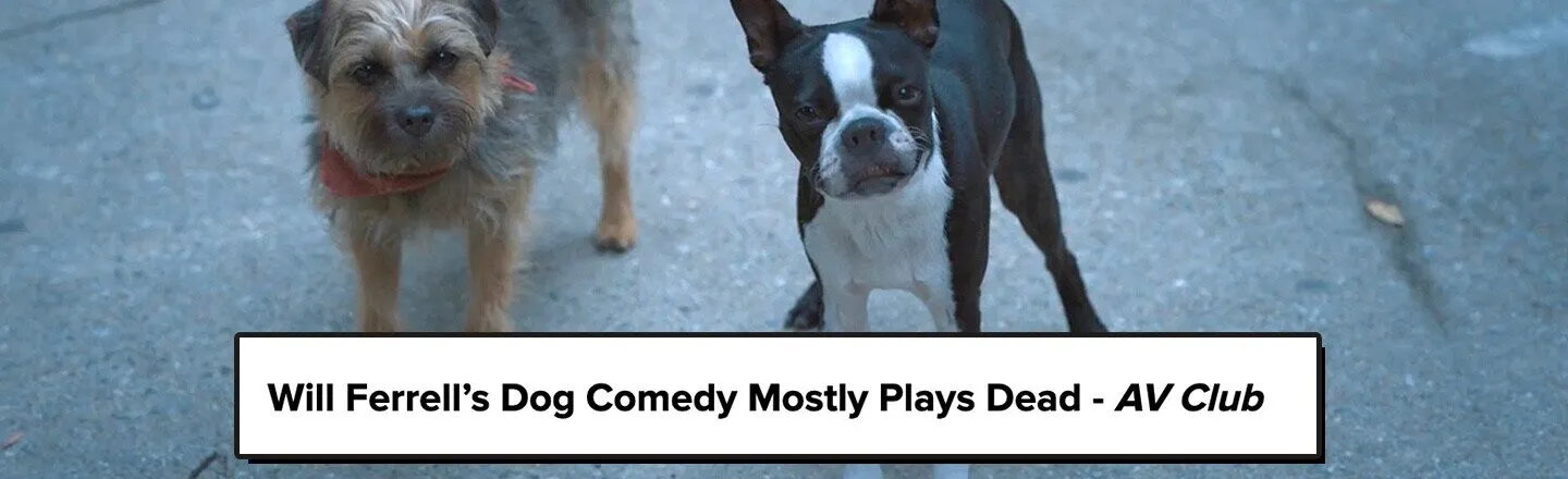 Dog Puns in ‘Strays’ Reviews, Ranked