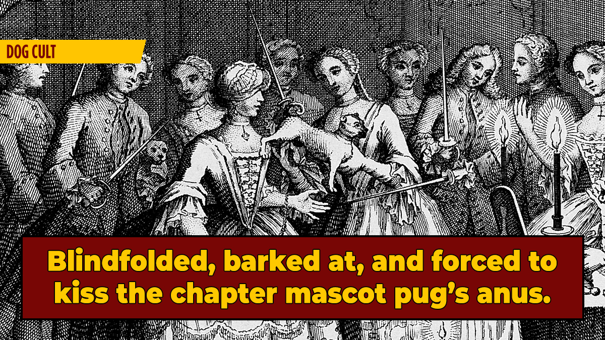 The Bizarre 18th-Century Secret High-Society Cult About ... Pugs?