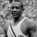 Cracked Round-Up: Holistic Carpentry Edition 